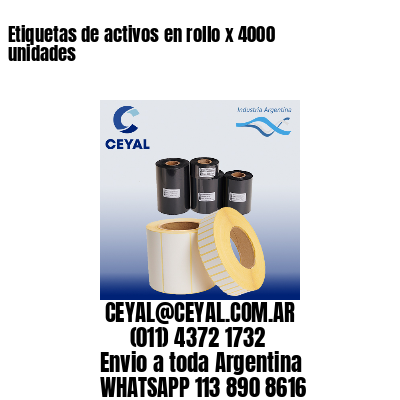 Etiquetas de activos en rollo x 4000 unidades