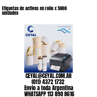 Etiquetas de activos en rollo x 5000 unidades