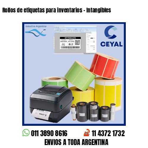 Rollos de etiquetas para inventarios – Intangibles