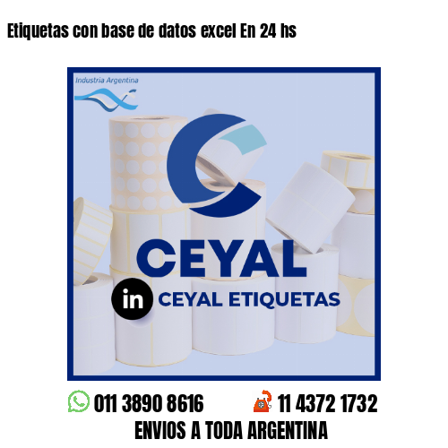 Etiquetas con base de datos excel En 24 hs