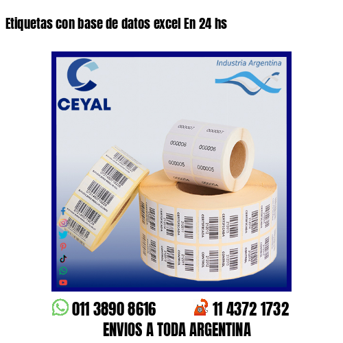 Etiquetas con base de datos excel En 24 hs