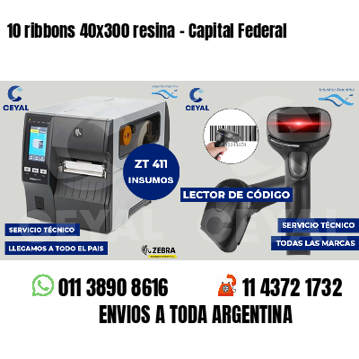 10 ribbons 40x300 resina - Capital Federal