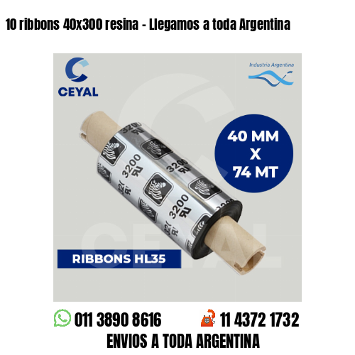 10 ribbons 40x300 resina - Llegamos a toda Argentina