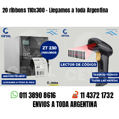 20 ribbons 110x300 - Llegamos a toda Argentina