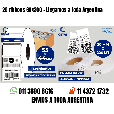 20 ribbons 60x300 - Llegamos a toda Argentina