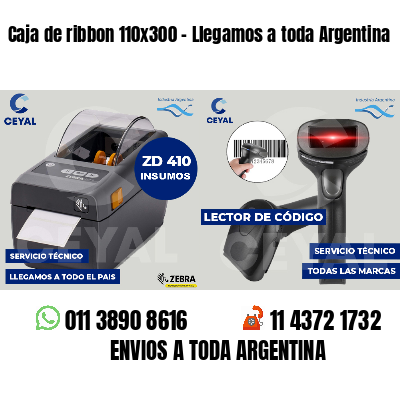 Caja de ribbon 110x300 - Llegamos a toda Argentina