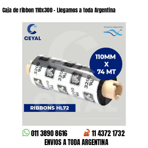 Caja de ribbon 110x300 - Llegamos a toda Argentina