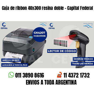 Caja de ribbon 40x300 resina doble - Capital Federal