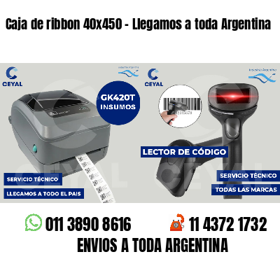 Caja de ribbon 40x450 - Llegamos a toda Argentina