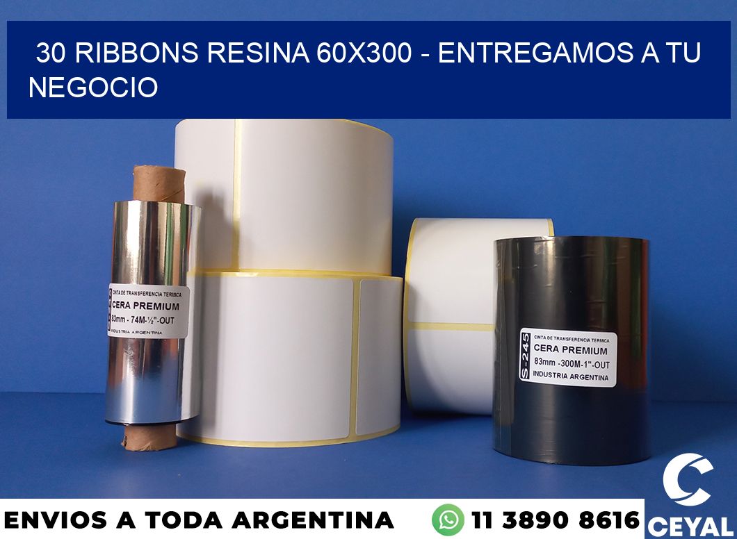 30 Ribbons resina 60×300 – entregamos a tu negocio