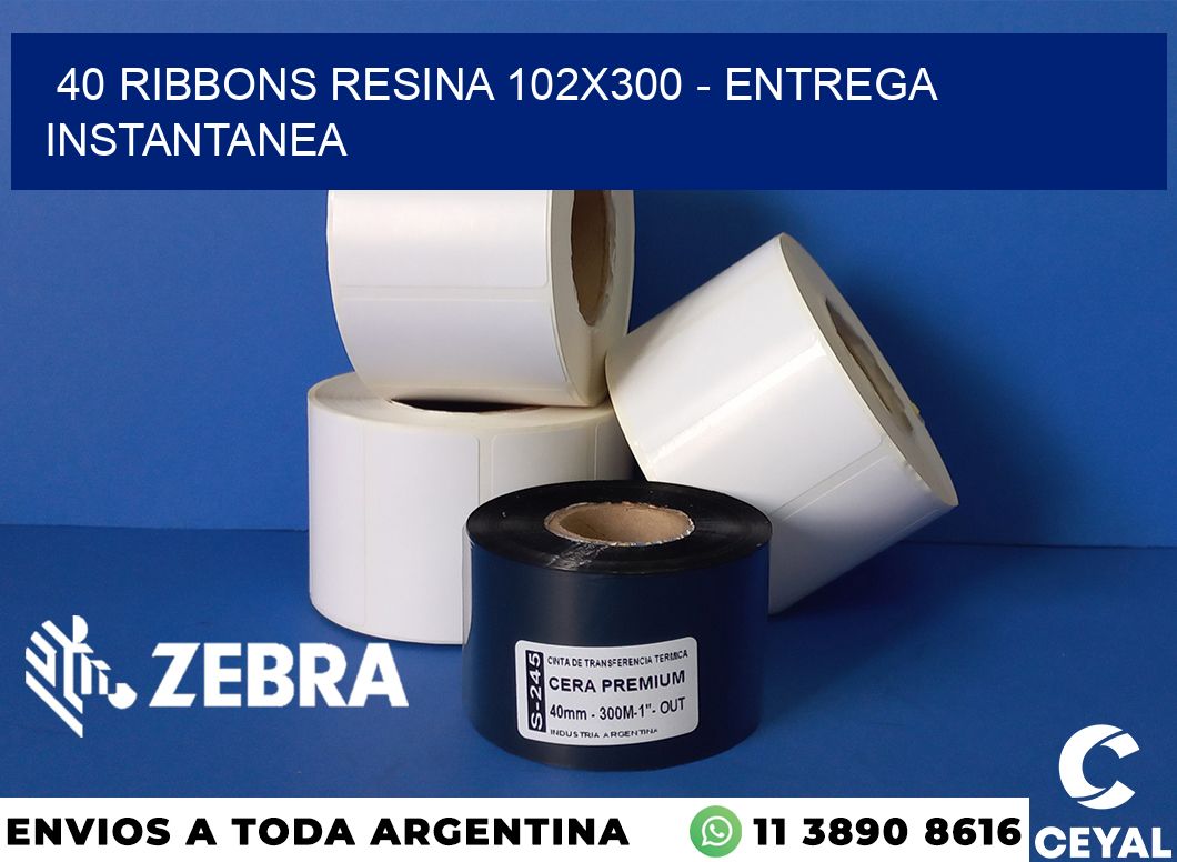 40 Ribbons resina 102x300 - entrega instantanea