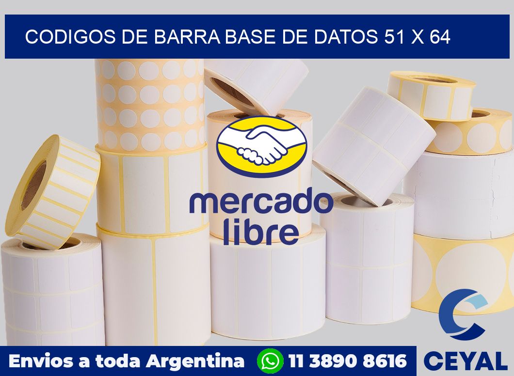 Codigos de barra base de datos 51 x 64