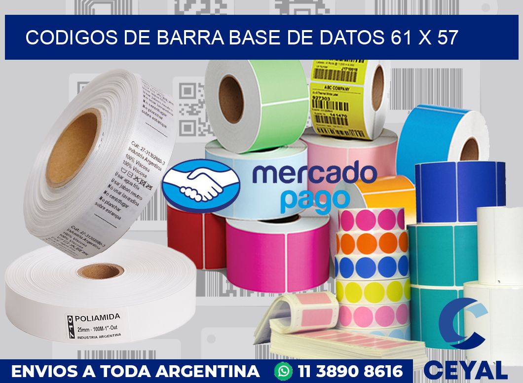 Codigos de barra base de datos 61 x 57