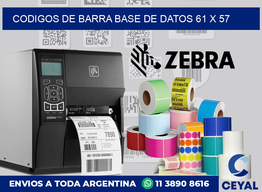 Codigos de barra base de datos 61 x 57