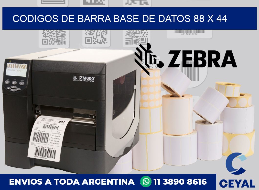 Codigos de barra base de datos 88 x 44