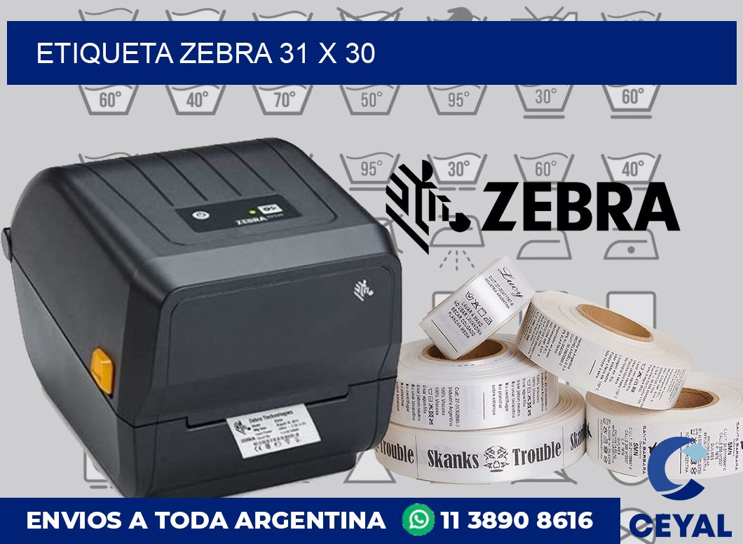 etiqueta zebra 31 x 30