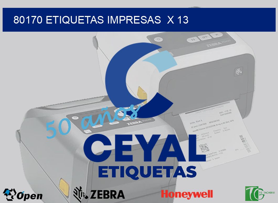 80170 Etiquetas impresas  x 13