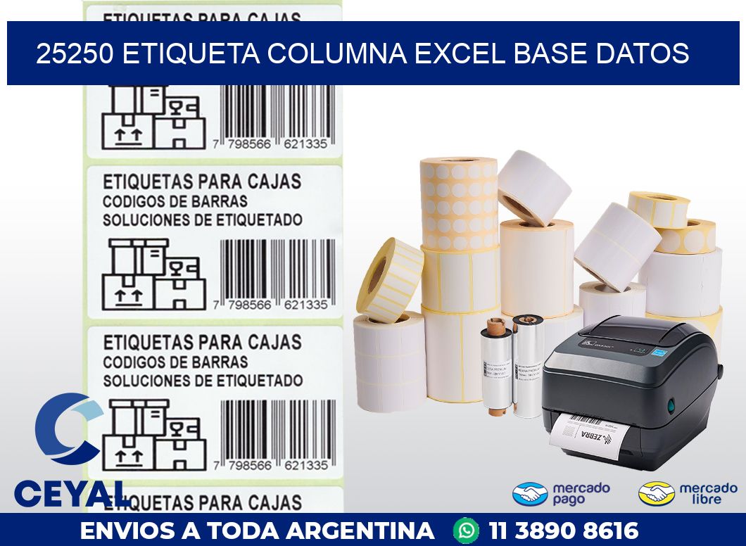 25250 etiqueta columna excel base datos