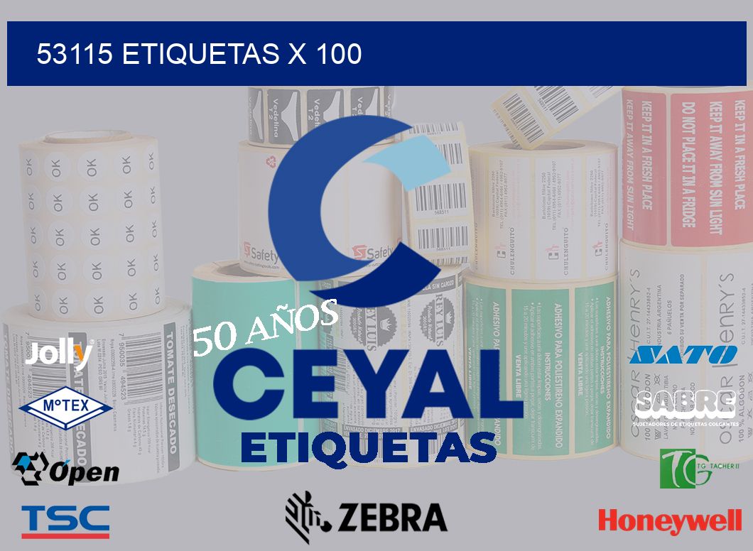 53115 ETIQUETAS X 100