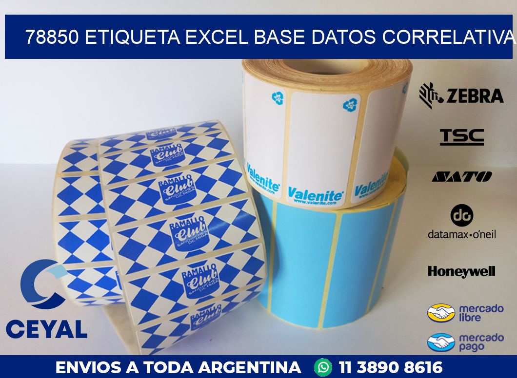 78850 etiqueta excel base datos correlativa