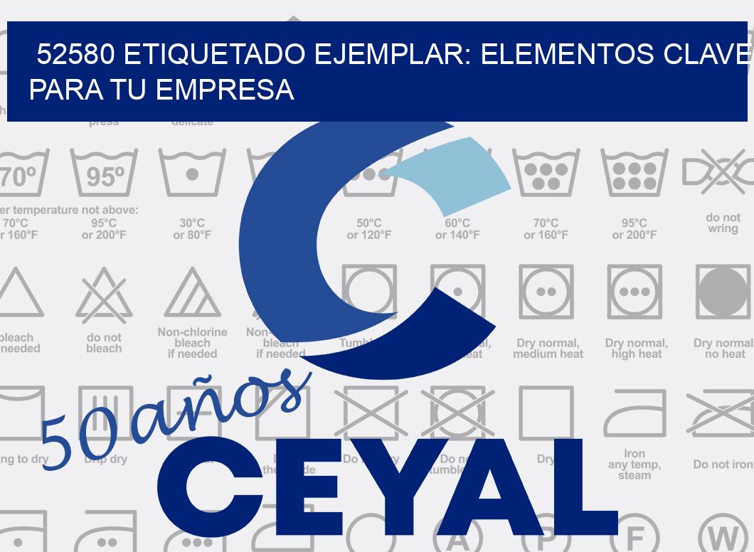 52580 ETIQUETADO EJEMPLAR: ELEMENTOS CLAVE PARA TU EMPRESA