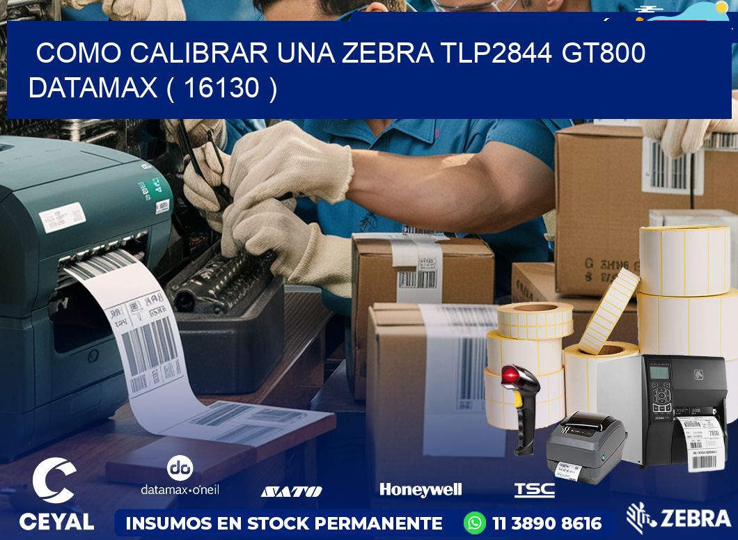 COMO CALIBRAR UNA ZEBRA TLP2844 GT800 DATAMAX ( 16130 )