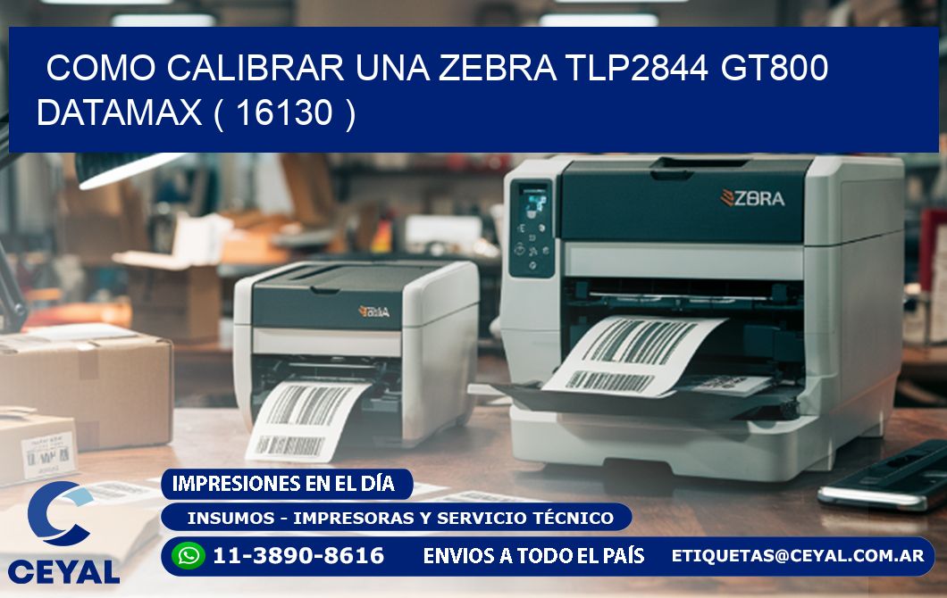 COMO CALIBRAR UNA ZEBRA TLP2844 GT800 DATAMAX ( 16130 )