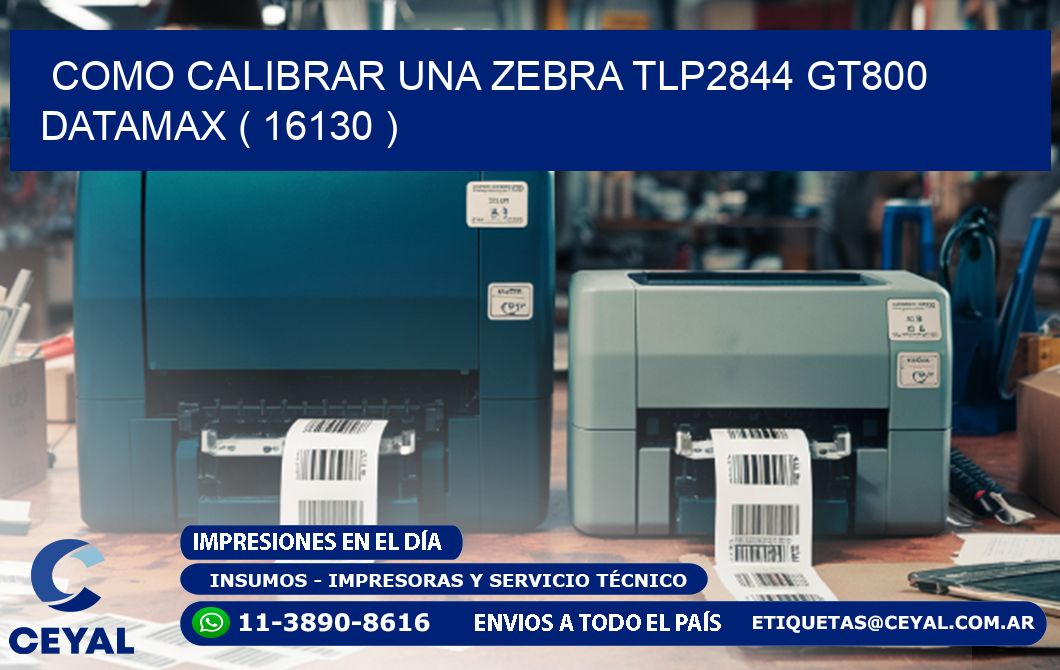 COMO CALIBRAR UNA ZEBRA TLP2844 GT800 DATAMAX ( 16130 )