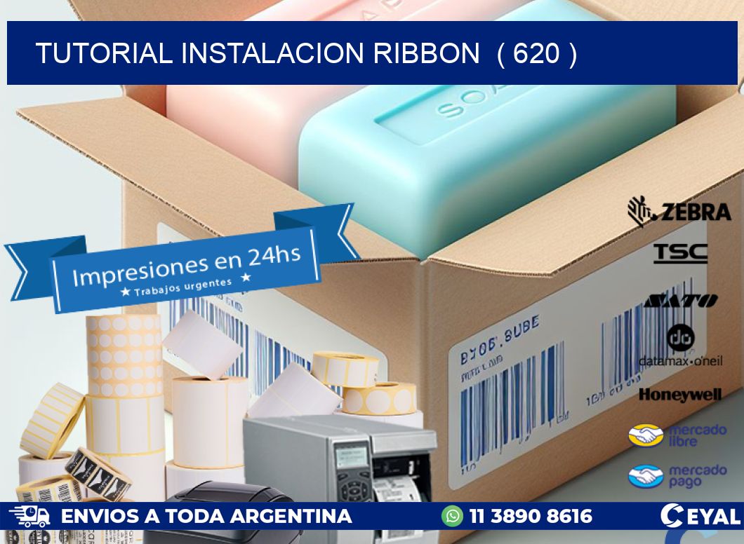 TUTORIAL INSTALACION RIBBON  ( 620 )