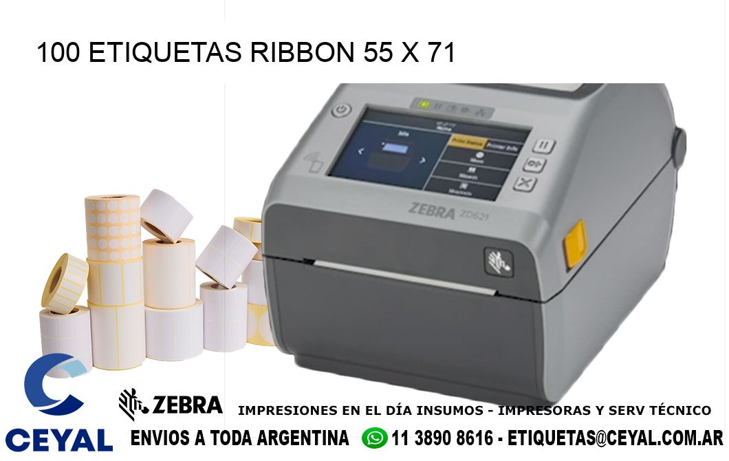 100 ETIQUETAS RIBBON 55 x 71