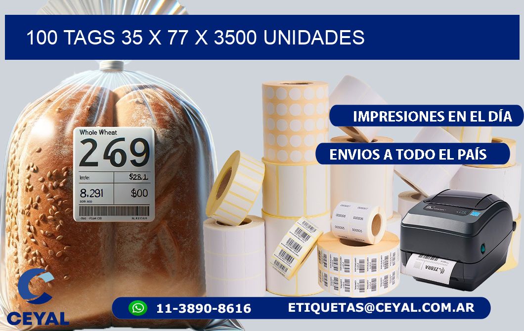 100 TAGS 35 x 77 X 3500 UNIDADES