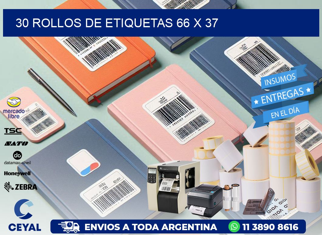 30 ROLLOS DE ETIQUETAS 66 x 37