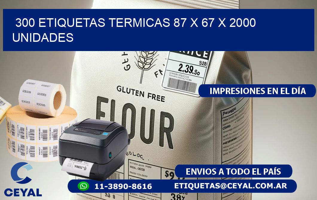 300 ETIQUETAS TERMICAS 87 x 67 X 2000 UNIDADES