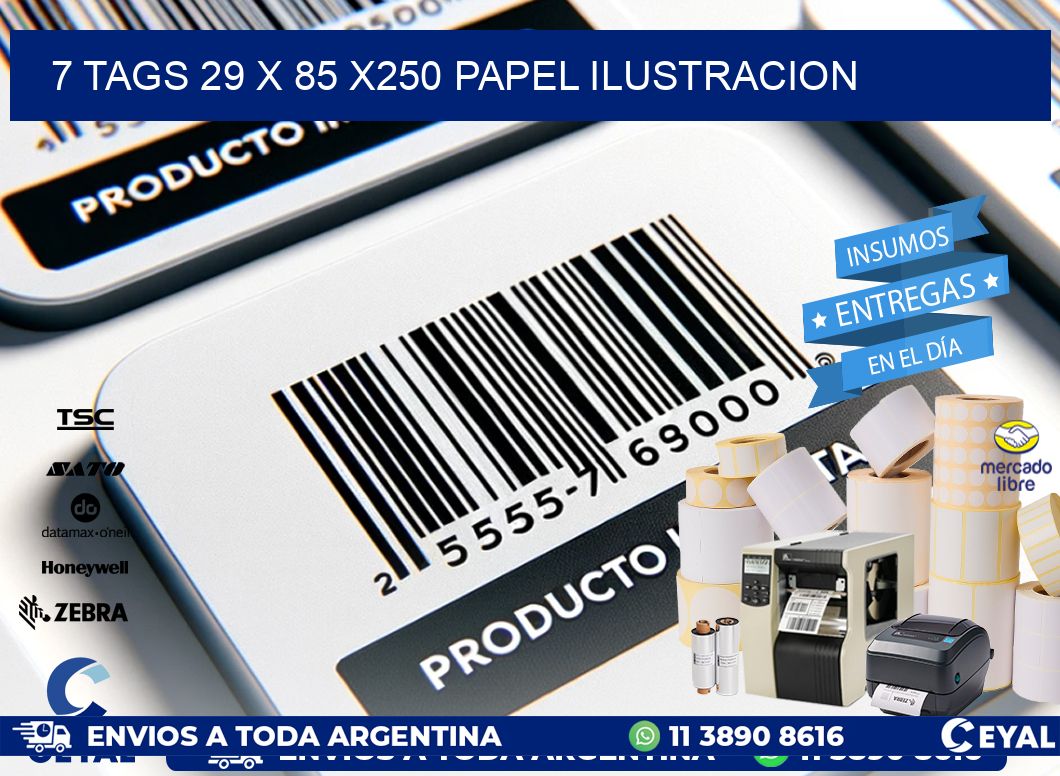 7 TAGS 29 x 85 X250 PAPEL ILUSTRACION