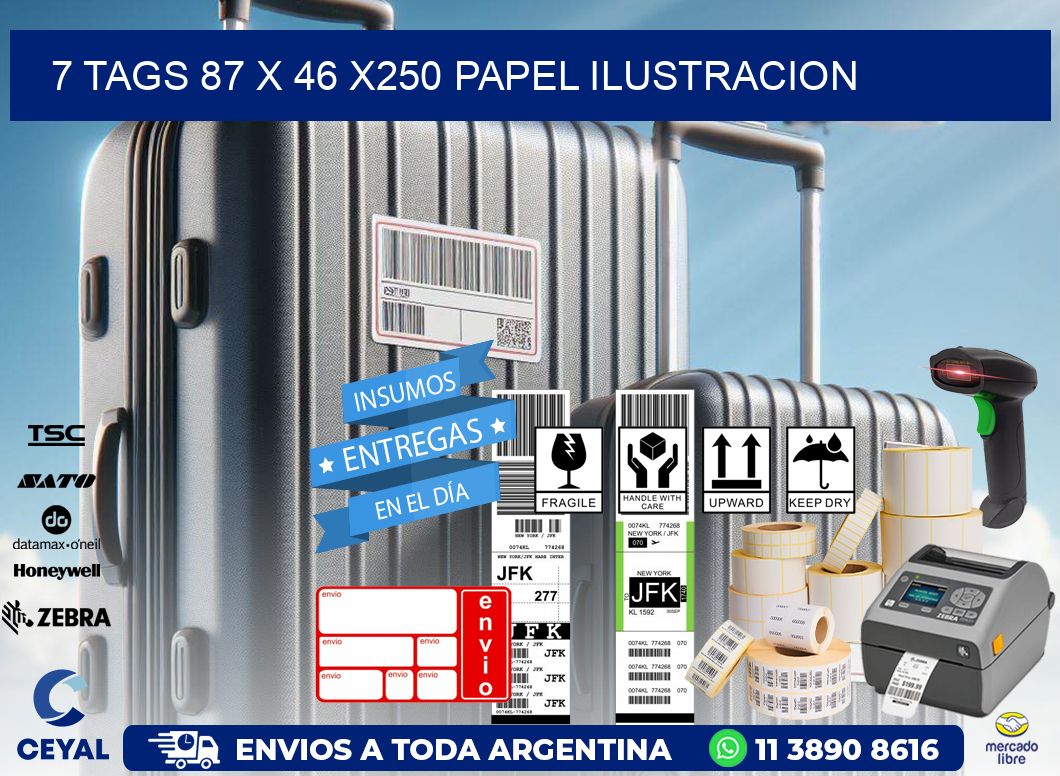 7 TAGS 87 x 46 X250 PAPEL ILUSTRACION