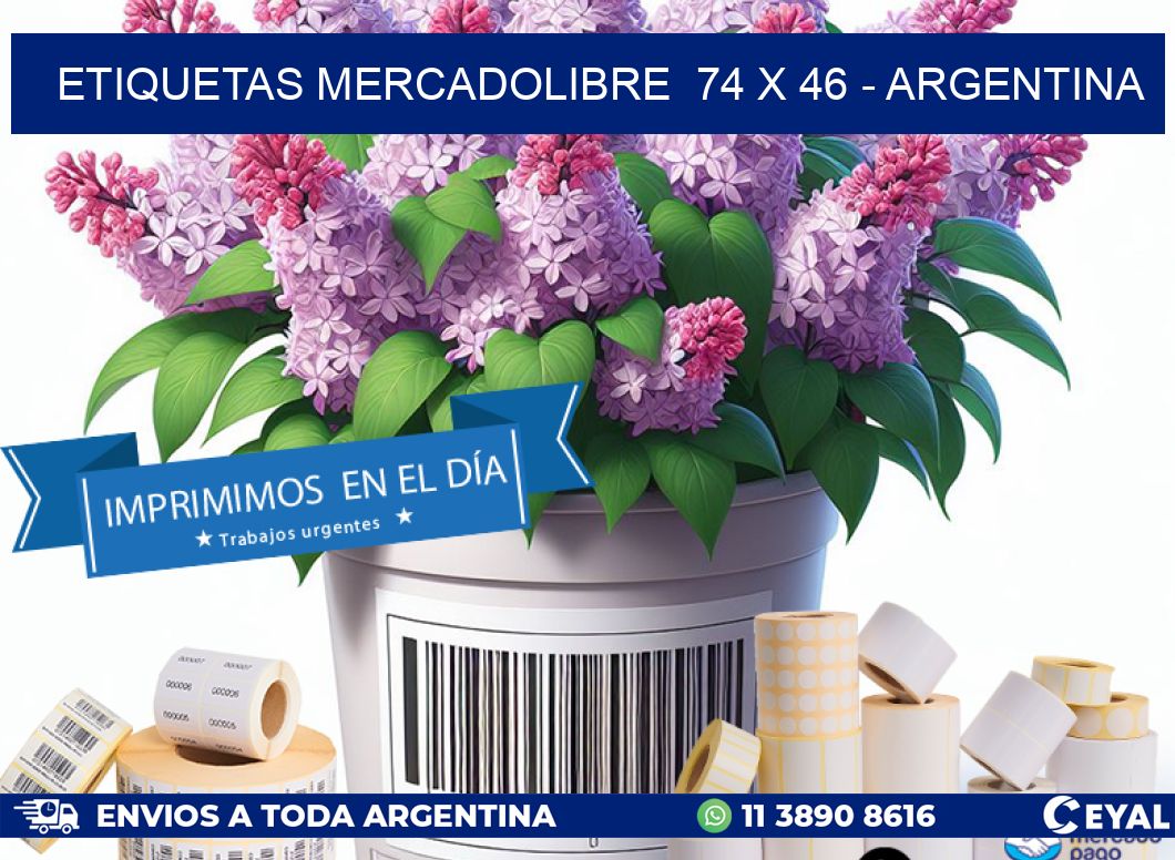 ETIQUETAS MERCADOLIBRE  74 x 46 - ARGENTINA