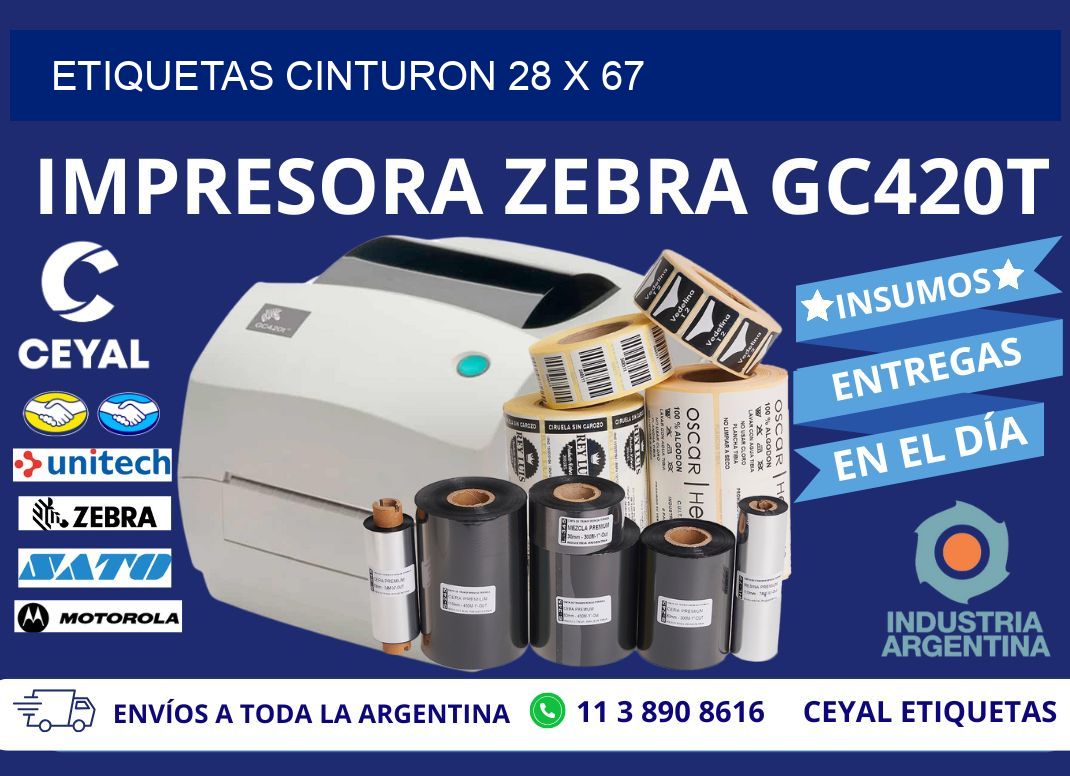 ETIQUETAS CINTURON 28 x 67