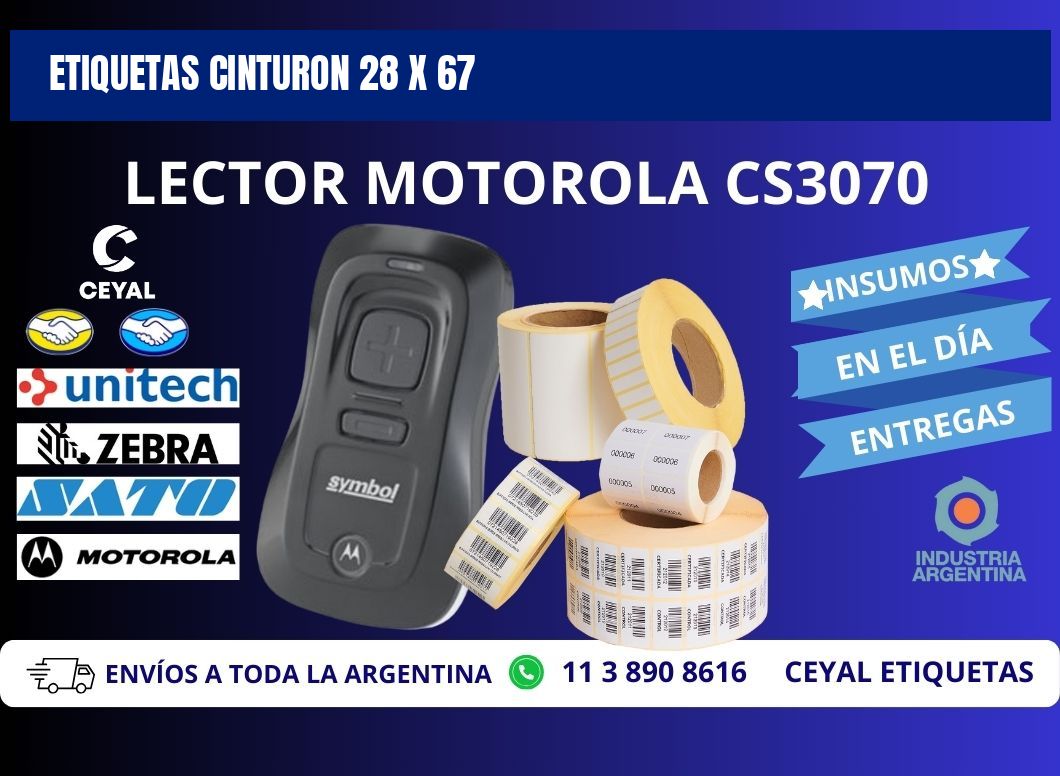 ETIQUETAS CINTURON 28 x 67