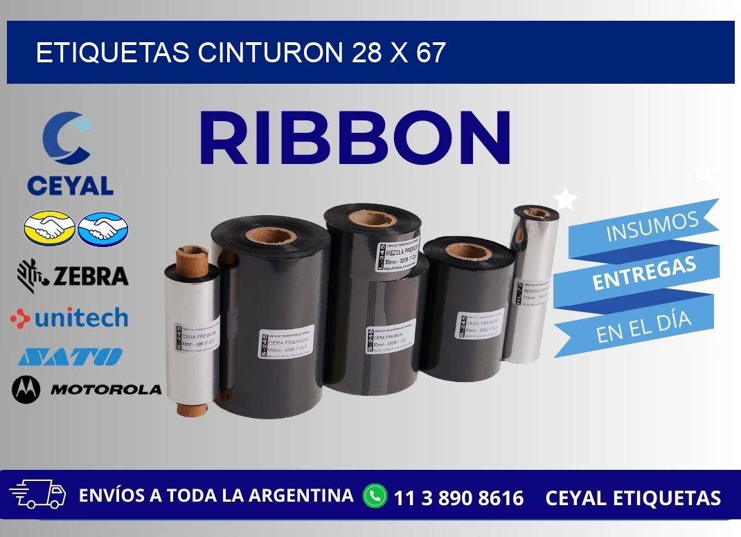 ETIQUETAS CINTURON 28 x 67