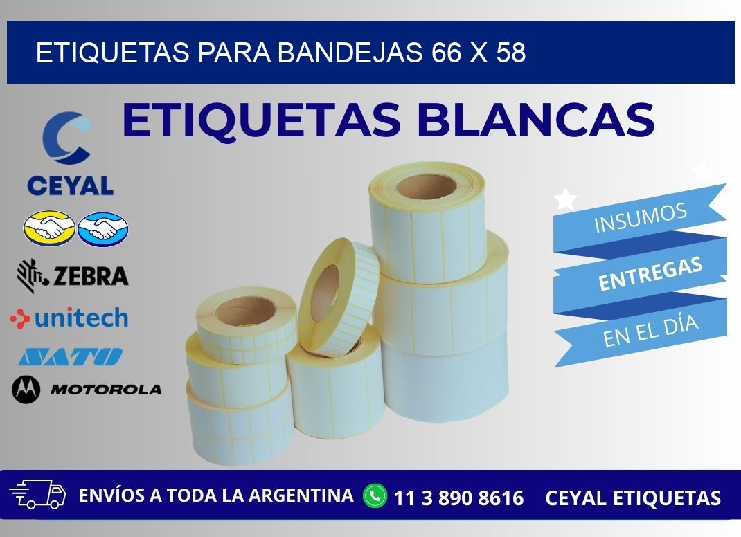 ETIQUETAS PARA BANDEJAS 66 x 58