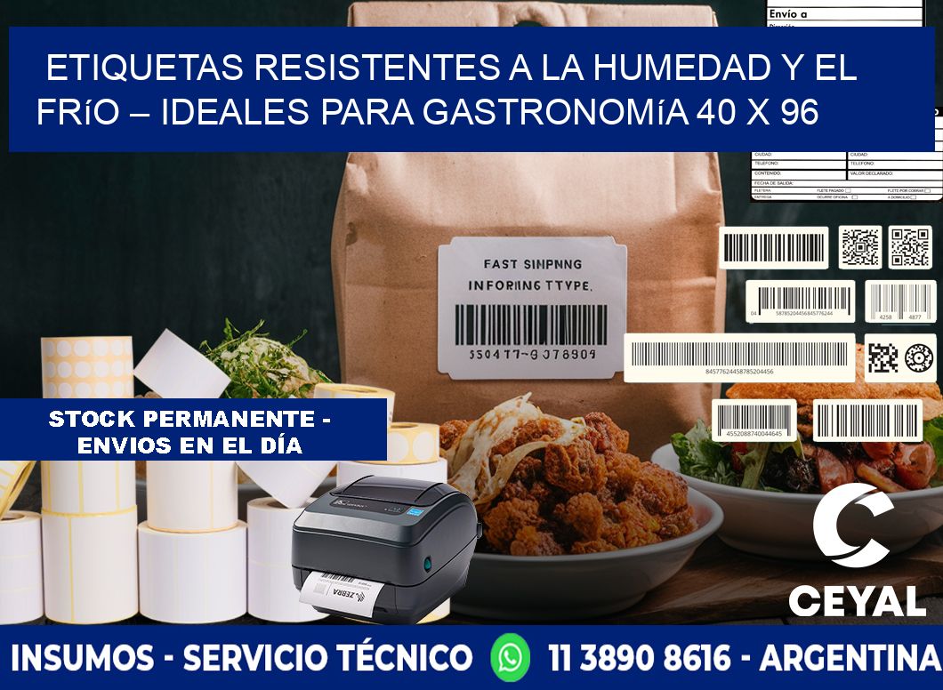 Etiquetas resistentes a la humedad y el frío – Ideales para gastronomía 40 x 96