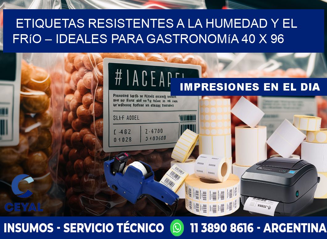 Etiquetas resistentes a la humedad y el frío – Ideales para gastronomía 40 x 96