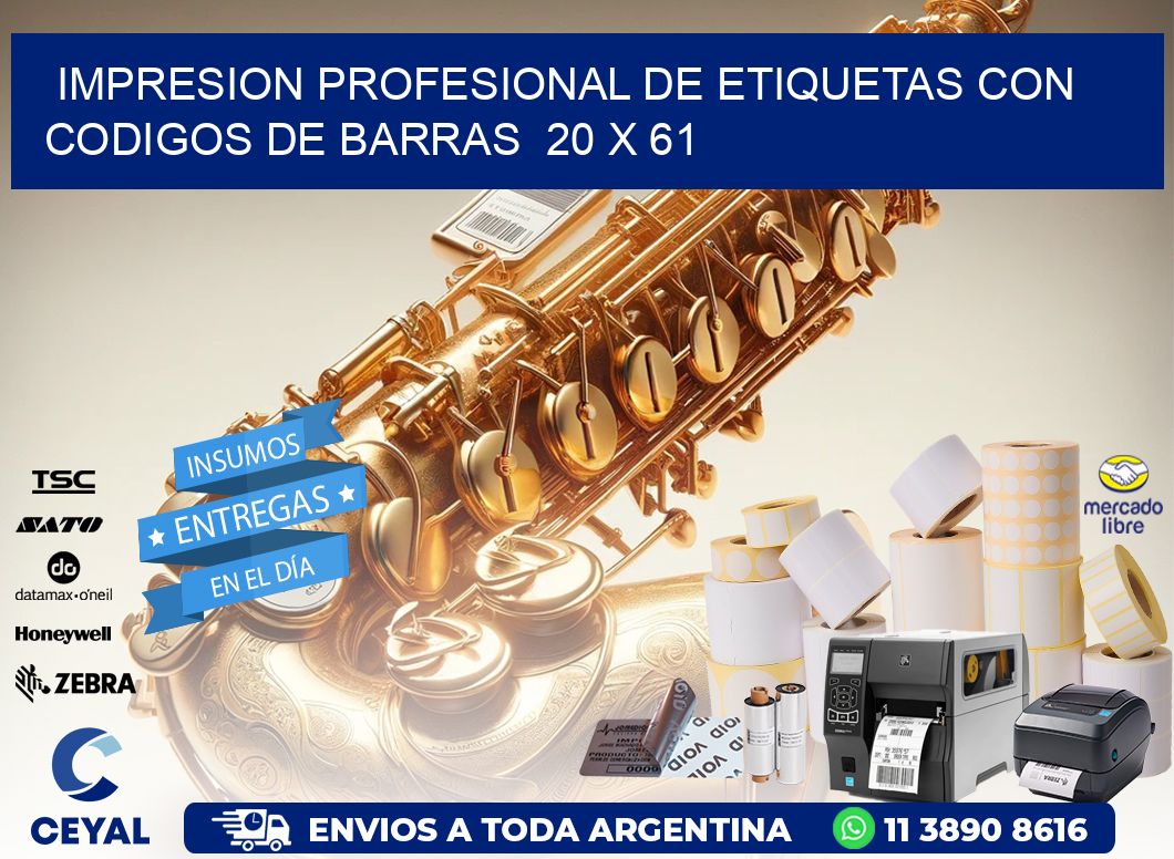 Impresion Profesional de Etiquetas con Codigos de Barras  20 x 61