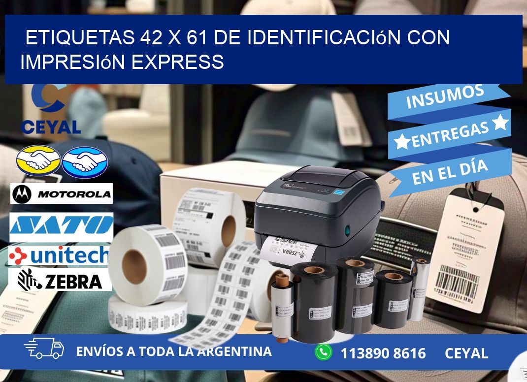 Etiquetas 42 x 61 de Identificación con Impresión Express