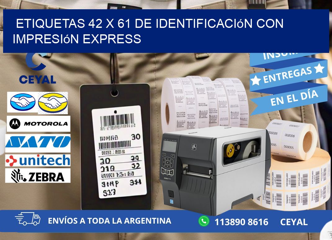 Etiquetas 42 x 61 de Identificación con Impresión Express