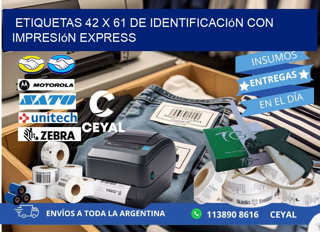 Etiquetas 42 x 61 de Identificación con Impresión Express